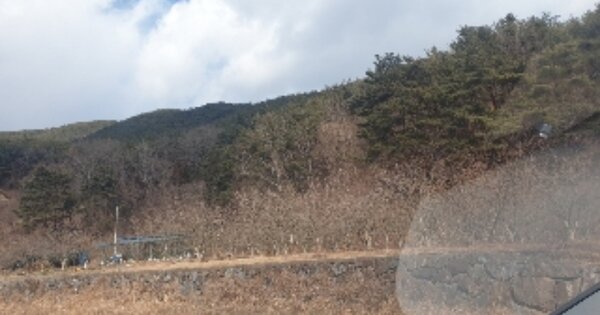 전라남도 광양시 옥곡면 대죽리 OOO 임야 경매 물건 이미지
