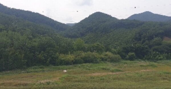 전라남도 보성군 문덕면 운곡리 OOO 임야 경매 물건 이미지
