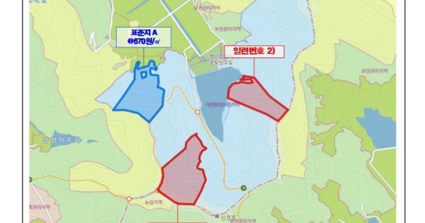 전라남도 신안군 증도면 방축리 OOO 임야 경매 물건 이미지
