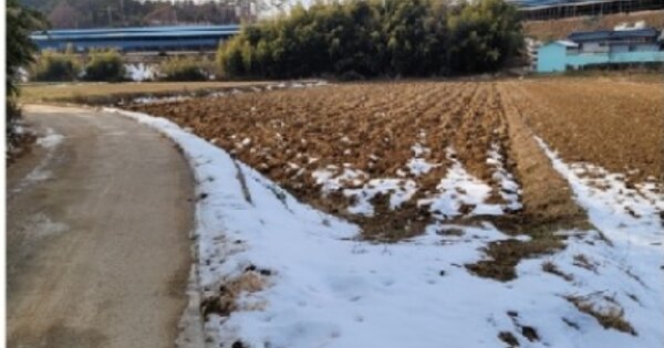 전라남도 영암군 도포면 성산리 OOOOOO 답 경매 물건 이미지