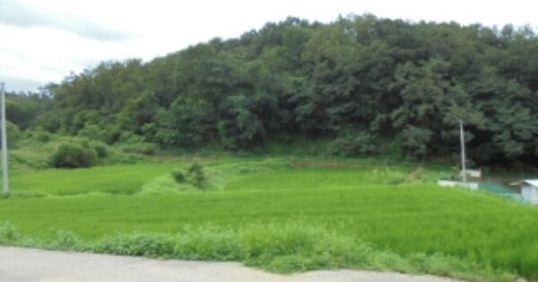 충청북도 청주시 상당구 남일면 고은리 OOO 답 경매 물건 이미지