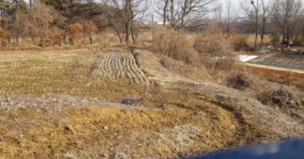충청남도 당진시 송악읍 복운리 OOOO O OOO 전 경매 물건 이미지