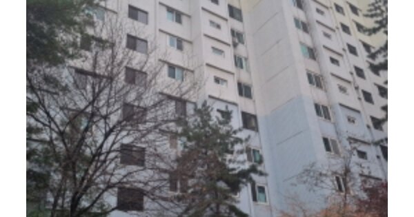 서울 송파구 문정동 150, 228동 OOOOOO OOOOOOOOOOOOOOOOO O OOO 아파트 경매 물건 이미지