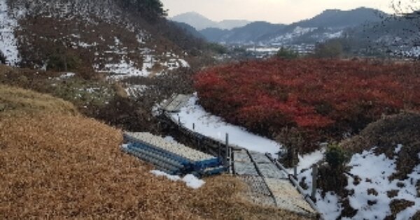 전라남도 순천시 승주읍 구강리 OOOOO 답 경매 물건 이미지