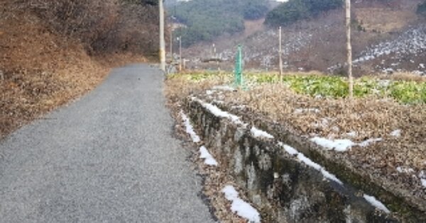 전라남도 순천시 승주읍 구강리 OOO 답 경매 물건 이미지