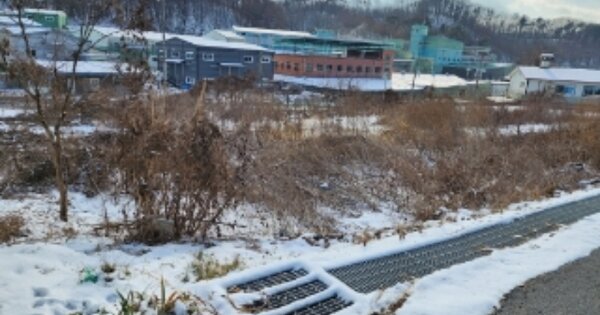 경기도 광주시 초월읍 신월리 OO 전 경매 물건 이미지