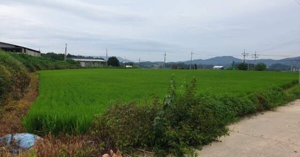 경상북도 예천군 풍양면 오지리 OOOOO 과수원 경매 물건 이미지