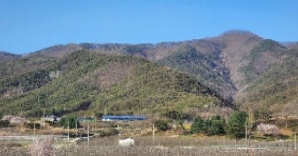 경상북도 안동시 임하면 오대리 OOO 임야 경매 물건 이미지