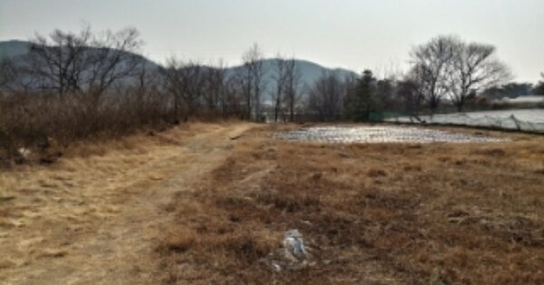 경상북도 영천시 임고면 효리 OOOOOOO 답 경매 물건 이미지