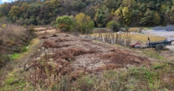 경상북도 영주시 문수면 만방리 OOOOOO 전 경매 물건 이미지
