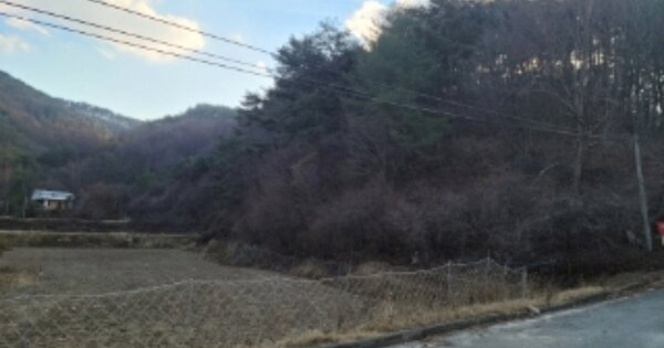 경상북도 봉화군 재산면 갈산리 OOOO O OOO 임야 경매 물건 이미지