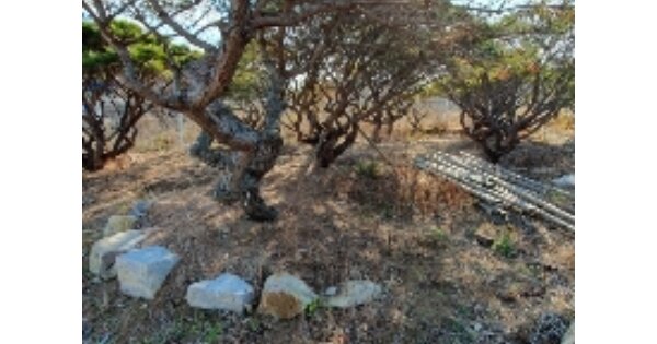 부산광역시 기장군 장안읍 길천리 OO 답 경매 물건 이미지