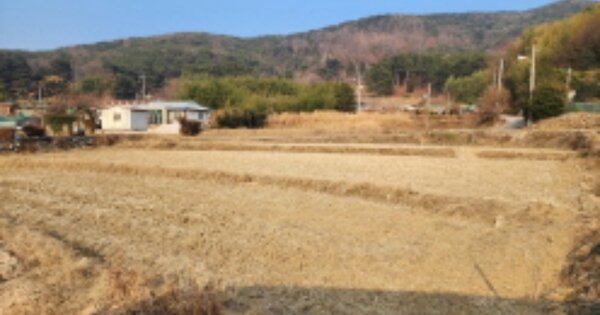 울산광역시 울주군 웅촌면 검단리 OOO 전 경매 물건 이미지