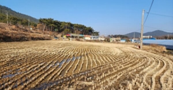 충청남도 보령시 웅천읍 황교리 OOOOO O OOO 전 경매 물건 이미지