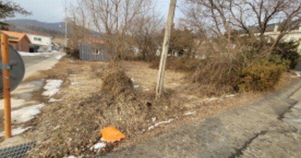경기도 양평군 양평읍 대흥리 OOOOO 전 경매 물건 이미지