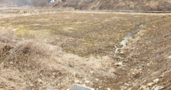 전라북도 순창군 쌍치면 방산리 OOO 답 경매 물건 이미지