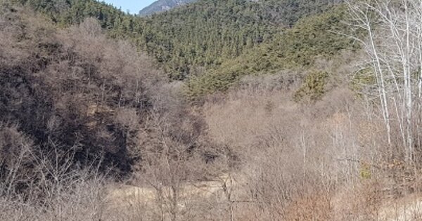 경상북도 군위군 산성면 봉림리 OOO O OOO 전 경매 물건 이미지