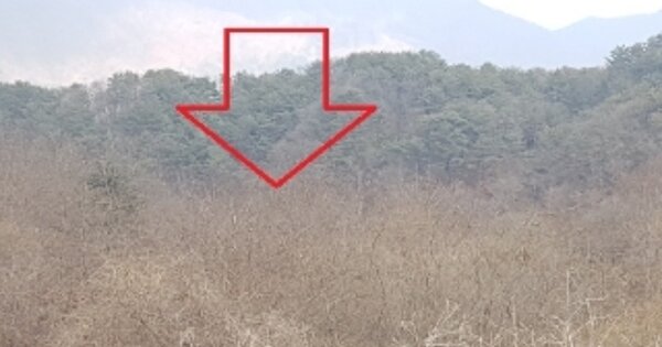 강원도 화천군 간동면 용호리 OOOO O OOO 답 경매 물건 이미지