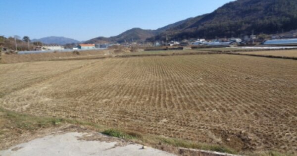 경상남도 남해군 남면 죽전리 OOO 답 경매 물건 이미지