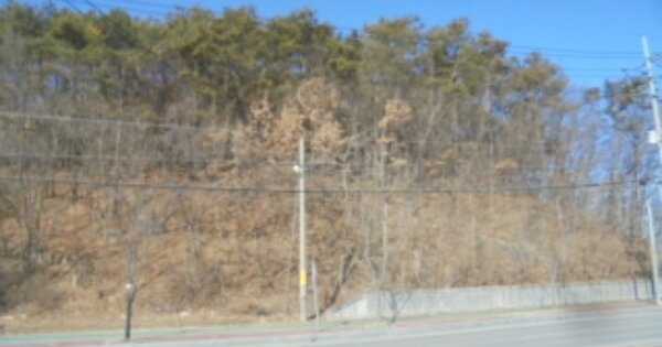 충청남도 논산시 관촉동 OOOOOO 임야 경매 물건 이미지