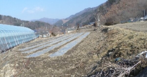 전라북도 무주군 무풍면 삼거리 OOO O OOO 답 경매 물건 이미지