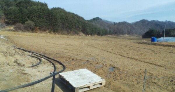 강원도 홍천군 내면 방내리 OOOOOOO 전 경매 물건 이미지