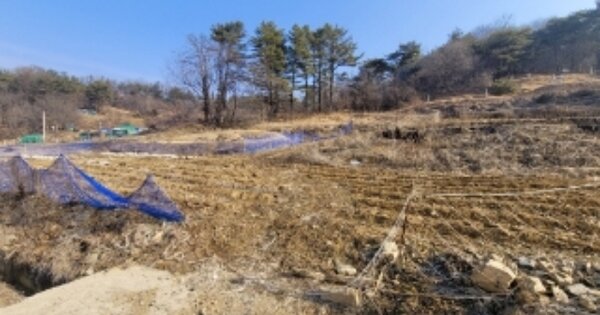 충청북도 괴산군 청천면 귀만리 OOO 전 경매 물건 이미지