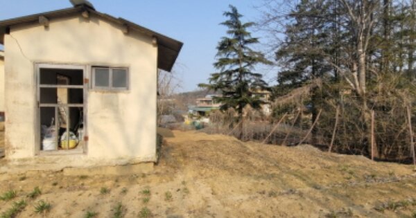 경기도 안성시 당왕동 OOOO O OOO 임야 경매 물건 이미지