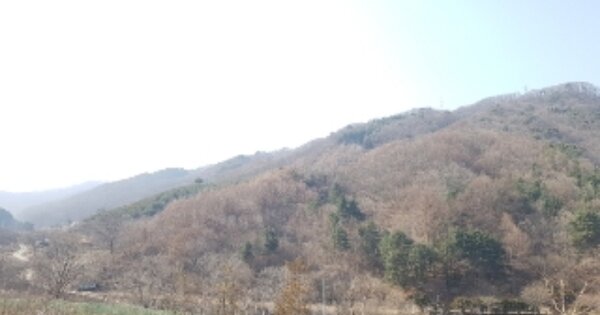 강원도 춘천시 동면 상걸리 OOO 임야 경매 물건 이미지
