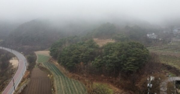 경상북도 김천시 대덕면 화전리 OOO 임야 경매 물건 이미지