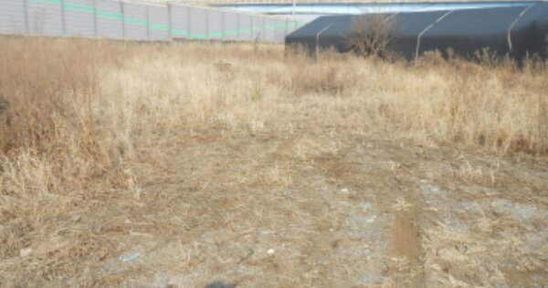 세종특별자치시 조치원읍 서창리 OOOOO 대지 경매 물건 이미지