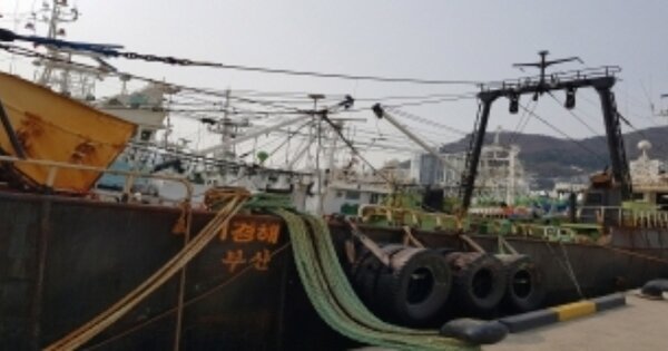 부산광역시 선박 경매 물건 이미지