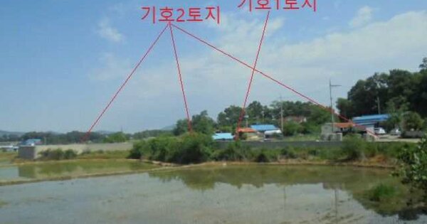 충청북도 음성군 삼성면 천평리 OOOO 대지 경매 물건 이미지
