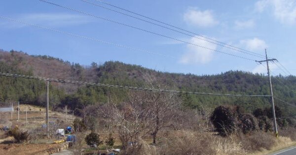 전라남도 해남군 화산면 방축리 OOOOO 임야 경매 물건 이미지