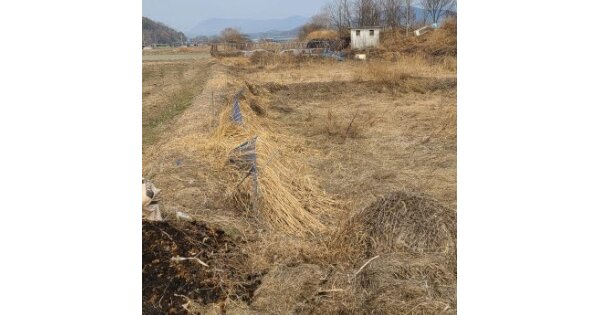 전라남도 장성군 북일면 성산리 OOOOO 답 경매 물건 이미지