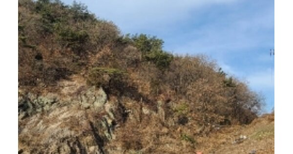 광주광역시 동구 용산동 OOOO 임야 경매 물건 이미지