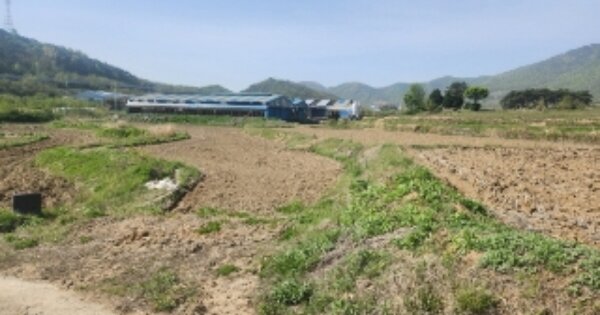 경상북도 경주시 현곡면 하구리 OOOOO O OOO 답 경매 물건 이미지