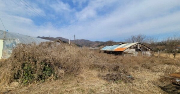 경기도 이천시 백사면 송말리 OOO O OOO 동물 및 식물 관련시설 경매 물건 이미지