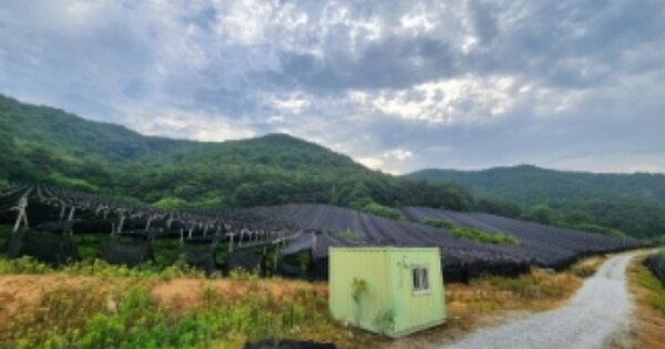 전라북도 고창군 부안면 사창리 OOOOO O OOO 임야 경매 물건 이미지