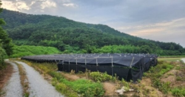 전라북도 고창군 부안면 사창리 OOOOO 임야 경매 물건 이미지