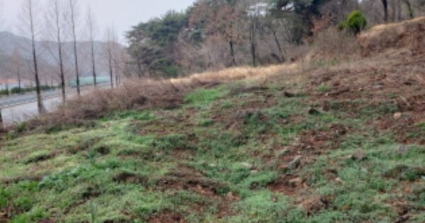 경상남도 고성군 고성읍 이당리 OOO 전 경매 물건 이미지