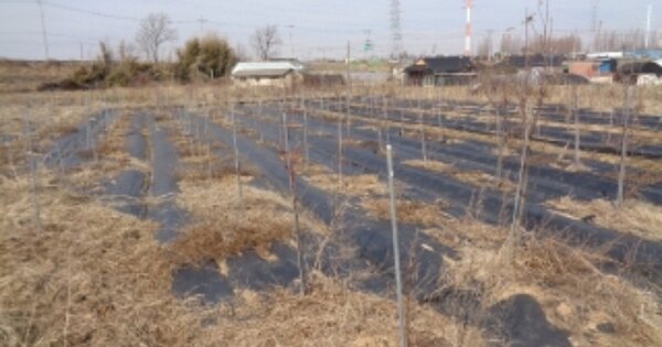 전라북도 김제시 상동동 OOO O OOO 전 경매 물건 이미지