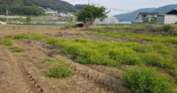 강원도 춘천시 서면 서상리 OOOOO O OOO 전 경매 물건 이미지