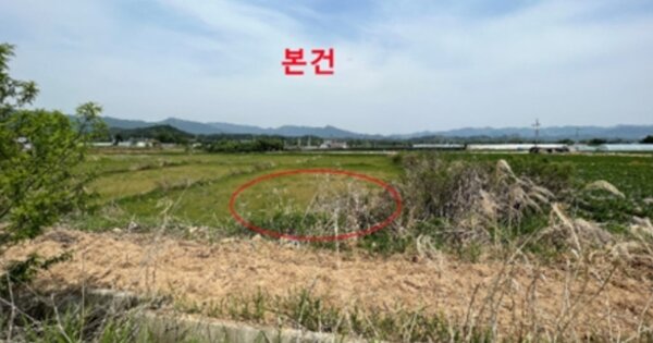 강원도 춘천시 서면 서상리 OOOO O OOO 전 경매 물건 이미지