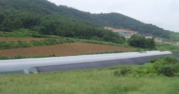 전라남도 진도군 임회면 명슬리 OOO O OOO 답 경매 물건 이미지