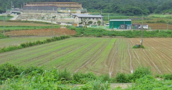 전라남도 진도군 임회면 명슬리 OOOOOO 답 경매 물건 이미지