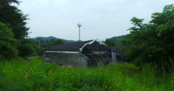강원도 춘천시 남산면 수동리 OOO 전 경매 물건 이미지
