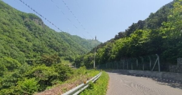 경상남도 의령군 궁류면 벽계리 OOO O OOO 임야 경매 물건 이미지