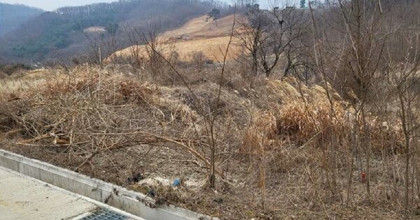 충청북도 청주시 상당구 남일면 송암리 OO O OOO 답 경매 물건 이미지