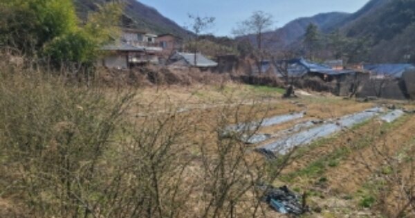 전라남도 담양군 대덕면 운암리 OOO O OOO 전 경매 물건 이미지